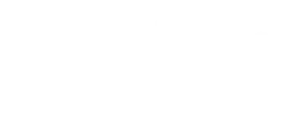 Friboi